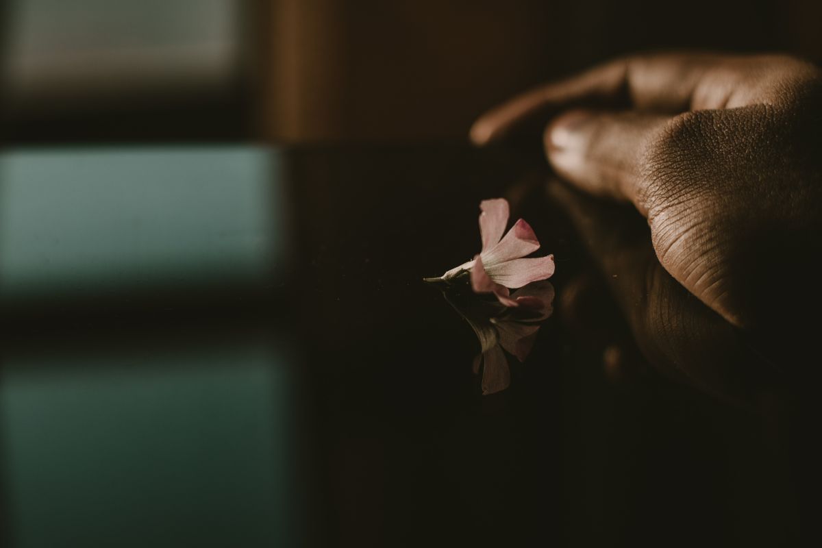 低光環境拍攝的穩定技巧